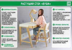 Комплект растущий стол и стул 38 попугаев «Вуди» (Серый, Без покрытия) в Покачах - pokachi.mebel-74.com | фото