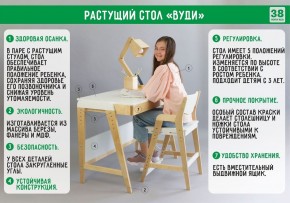 Комплект растущий стол и стул с чехлом 38 попугаев «Вуди» (Белый, Белый, Салют) в Покачах - pokachi.mebel-74.com | фото