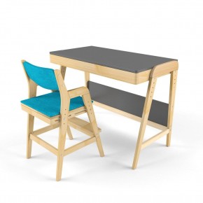 Комплект растущий стол и стул с чехлом 38 попугаев «Вуди» (Серый, Без покрытия, Лазурь) в Покачах - pokachi.mebel-74.com | фото