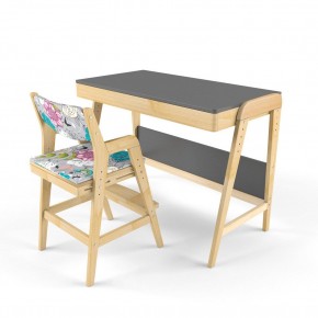 Комплект растущий стол и стул с чехлом 38 попугаев «Вуди» (Серый, Без покрытия, Мечта) в Покачах - pokachi.mebel-74.com | фото