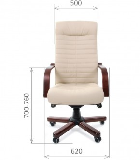 Кресло для руководителя CHAIRMAN 480 N WD (Экокожа) в Покачах - pokachi.mebel-74.com | фото