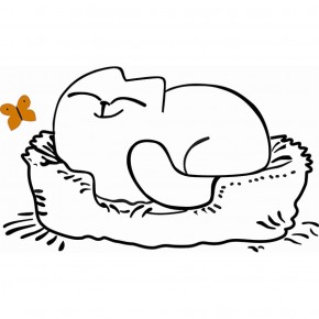 Кровать двухуровневая Кот № 900.1 ЛЕВАЯ (туя светлая/белый) в Покачах - pokachi.mebel-74.com | фото