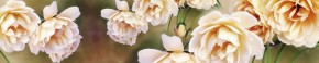 Кухонный фартук Цветы 066 МДФ матовый (3000) Flowers в Покачах - pokachi.mebel-74.com | фото