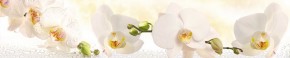Кухонный фартук Цветы 328 МДФ матовый (3000) Flowers в Покачах - pokachi.mebel-74.com | фото