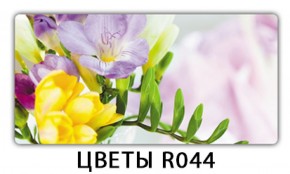 Обеденный раздвижной стол Бриз с фотопечатью Цветы R044 в Покачах - pokachi.mebel-74.com | фото