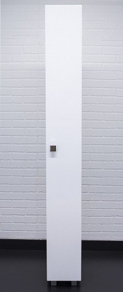 Пенал напольный 25 Мега без ящика левый/правый АЙСБЕРГ (DM4608P) в Покачах - pokachi.mebel-74.com | фото