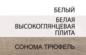 Шкаф 2D/TYP 20A, LINATE ,цвет белый/сонома трюфель в Покачах - pokachi.mebel-74.com | фото