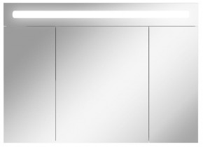 Шкаф-зеркало Аврора 100 с подсветкой LED Домино (DV8012HZ) в Покачах - pokachi.mebel-74.com | фото