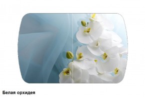 Стол Бостон 900*600 (опоры Брифинг) Стекло/фотопечать Белая Орхидея в Покачах - pokachi.mebel-74.com | фото