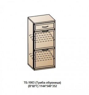 ТБ-1003 (Тумба-обувница) в Покачах - pokachi.mebel-74.com | фото