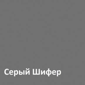 Юнона Шкаф торцевой 13.221 в Покачах - pokachi.mebel-74.com | фото